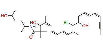 Clathrynamide B